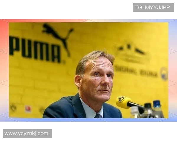 2018年德国足球明星的辉煌成就与未来展望分析